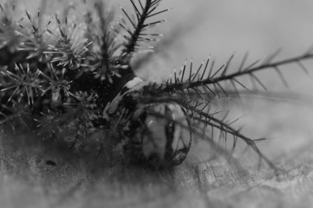 film_still