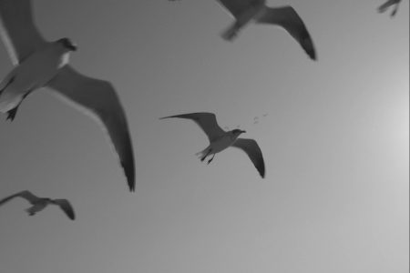 film_still